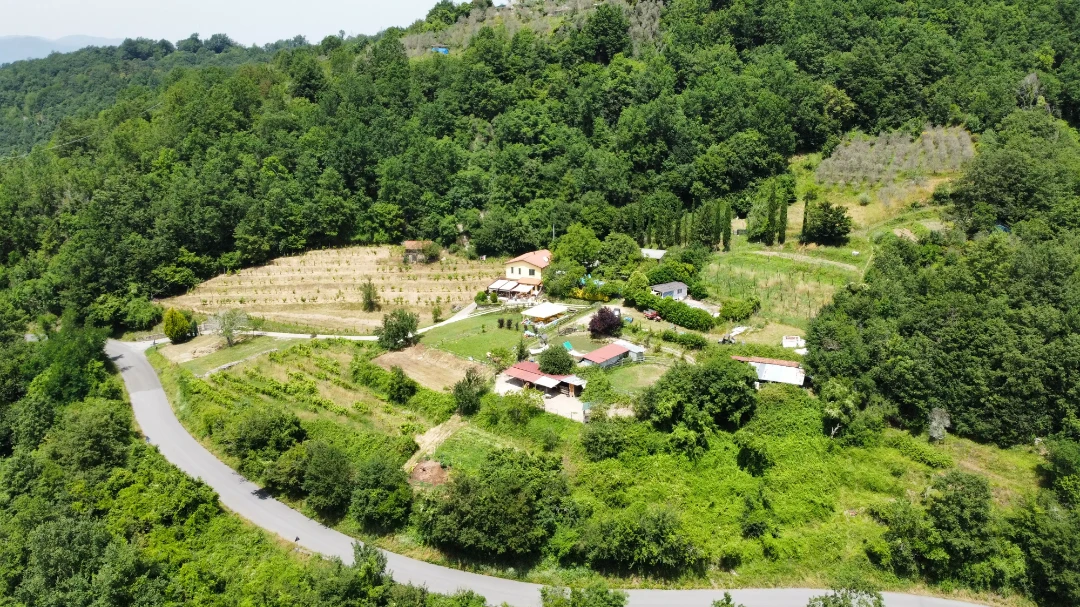 AGRITURISMO LA LUNA DI GRETA — foto 2