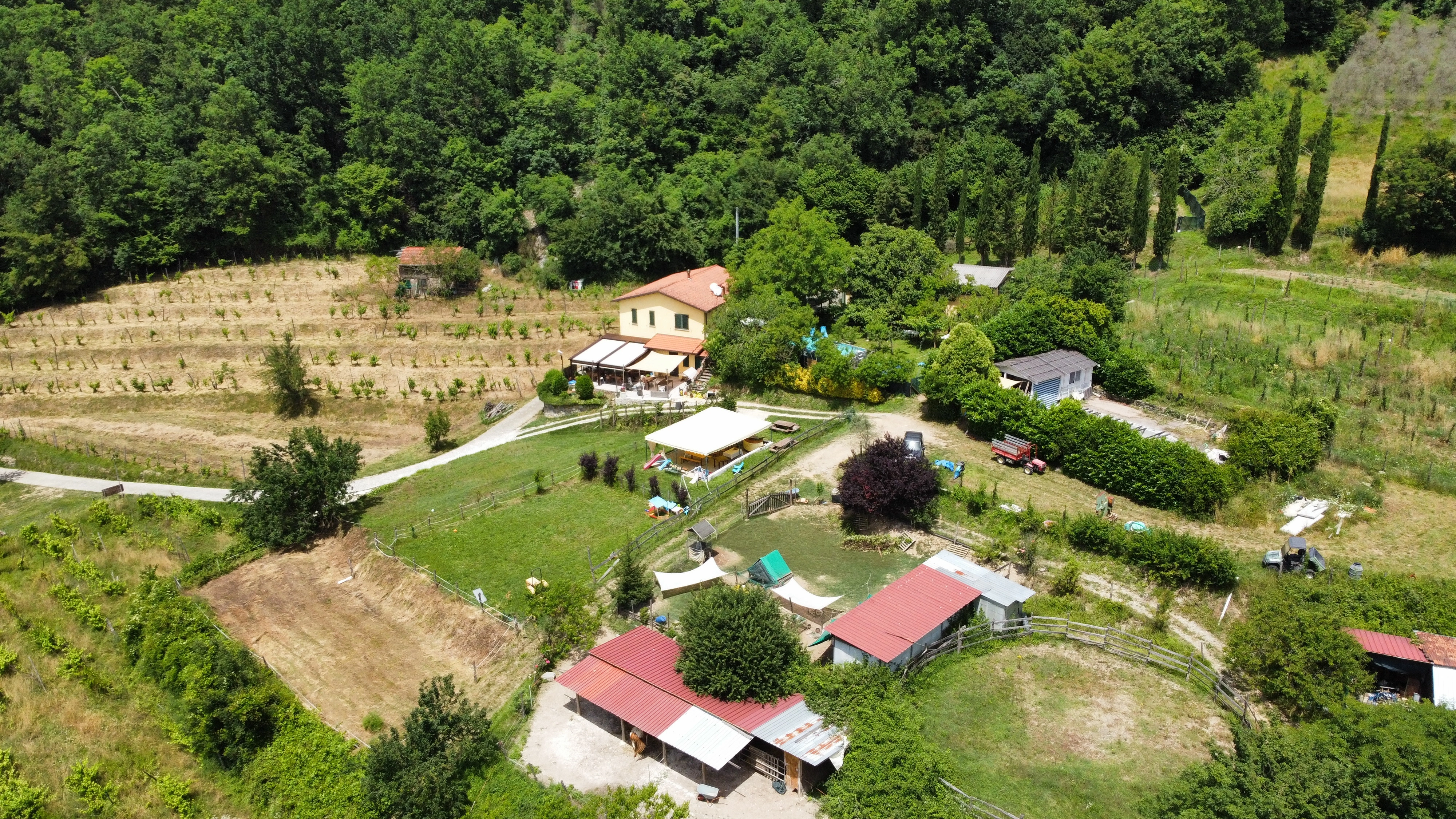 View