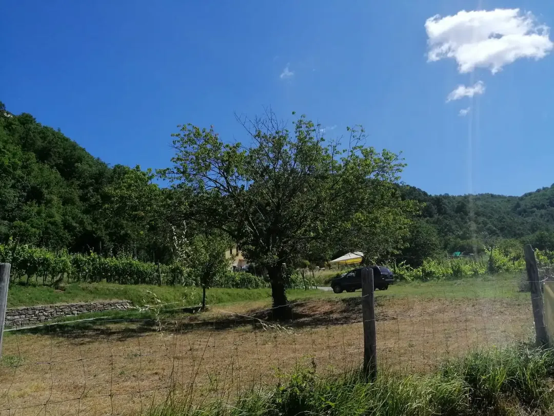AGRITURISMO LA LUNA DI GRETA — foto 3